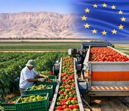 10 sự thật thú vị về nền nông nghiệp Israel và liên hệ thực tiễn với Việt Nam