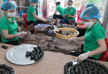 Bánh Gai làng Khóng