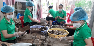 Bánh Gai làng Khóng
