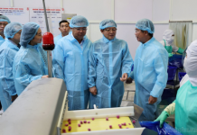 Xây dựng chuỗi liên kết bền vững, nâng cao giá trị nông sản và thủy sản Việt Nam