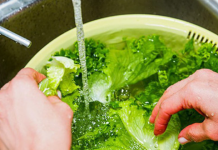 Rửa rau như thế nào để loại bỏ thuốc trừ sâu gây hại?