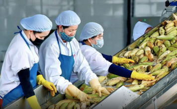 Cục Hải quan yêu cầu ưu tiên thông quan nông sản xuất khẩu trong ngày