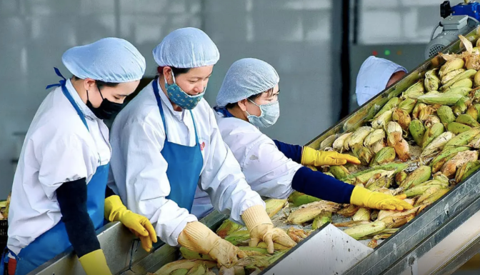 Cục Hải quan yêu cầu ưu tiên thông quan nông sản xuất khẩu trong ngày