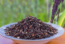 Giống lúa mì tím mở ra hướng nâng cao giá trị dinh dưỡng cho sản phẩm từ lúa mì