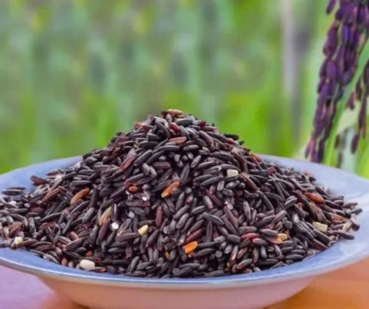 Giống lúa mì tím mở ra hướng nâng cao giá trị dinh dưỡng cho sản phẩm từ lúa mì