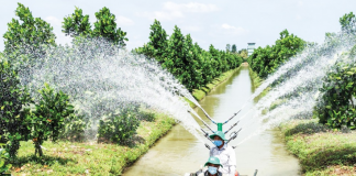 Nông nghiệp đang thúc đẩy quá trình chuyển dịch từ sản xuất truyền thống sang kinh tế nông nghiệp hiện đại