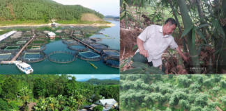 Thác Bà khơi dậy động lực từ “tam nông”