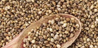 7 nguồn axit béo omega – 3 thực vật có lợi cho sức khoẻ