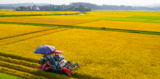 Động lực mới để nâng sức cạnh tranh cho nông sản Việt
