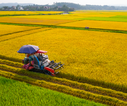 Động lực mới để nâng sức cạnh tranh cho nông sản Việt