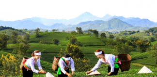 Phát triển sản phẩm OCOP gắn kết với du lịch – hướng đi gia tăng giá trị và hiệu quả địa phương