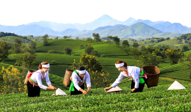 Phát triển sản phẩm OCOP gắn kết với du lịch – hướng đi gia tăng giá trị và hiệu quả địa phương