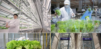 Trang trại thẳng đứng ở nhà giá trị cao nhất 80 triệu USD hoạt động chính thức