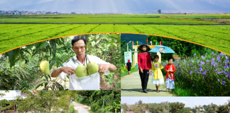 Đưa tiêu chí hộ nông dân kinh doanh giỏi vào xây dựng nông thôn mới