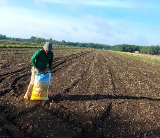 Giải nén áp lực chi phí sản xuất nông nghiệp