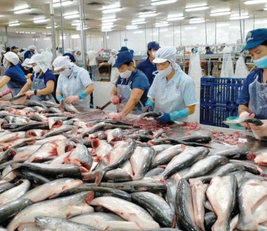 Xuất khẩu thủy sản chững lại, ba kịch bản cho năm 2026