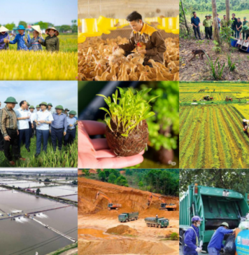Cắt giảm thủ tục nông nghiệp và môi trường, khơi thông nguồn lực phát triển