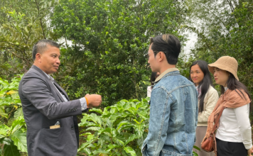 Đa dạng sinh kế cho hộ nông dân nhỏ thông qua cải tạo vườn tạp trồng cây nhàu