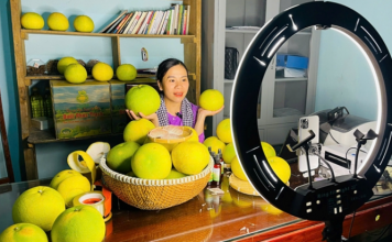 Đưa bưởi Phúc Trạch lên nền tảng số, mở rộng thị trường tiêu thụ