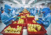 Xuất khẩu rau quả chế biến thu gần 1,4 tỷ USD trong 7 tháng đầu năm 2026