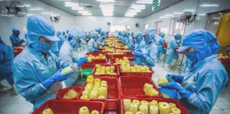 Xuất khẩu rau quả chế biến thu gần 1,4 tỷ USD trong 7 tháng đầu năm 2026